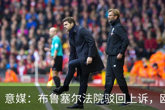意媒：布鲁塞尔法院驳回上诉，欧足联青训名额规则有效