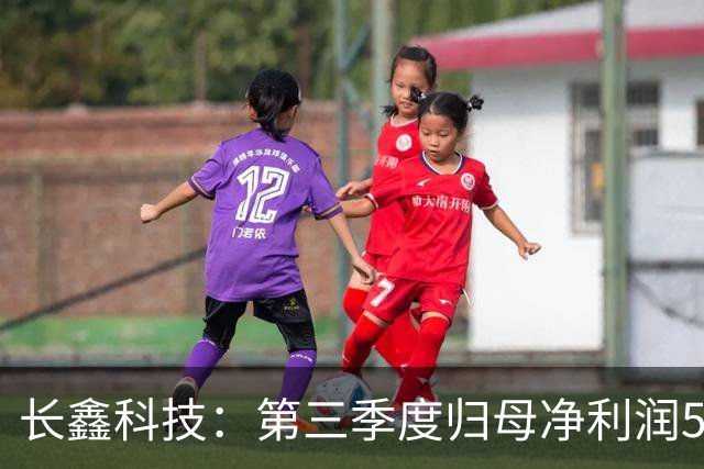 长鑫科技：第三季度归母净利润544.35亿元，同比扭亏为盈