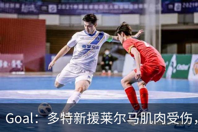 Goal：多特新援莱尔马肌肉受伤，复出时间未定
